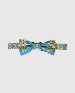Little Birdie Silk Bow Tie